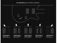 PRS S2 Custom 24 Lake Blue PRS S2 Custom 24 Lake Blue